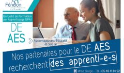 Les entreprises partenaires de l'UFA Fénelon Notre-Dame de La Rochelle recherchent des apprentis ou apprenties pour le DE AES.