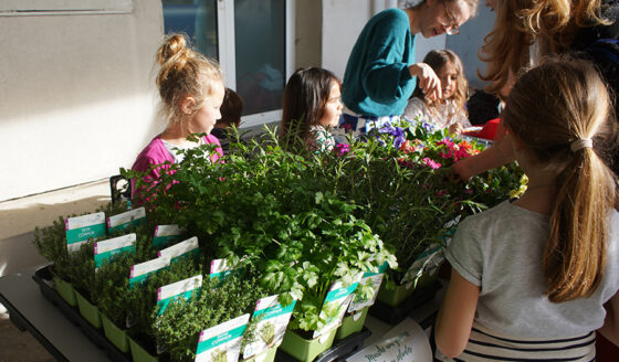 Le printemps s’est invité au Café des parents de jeudi dernier avec un marché aux graines et aux plantes, organisé par l’APEL (Association de Parents d’Elèves) au sein de l’école Fénelon Notre-Dame de La Rochelle.