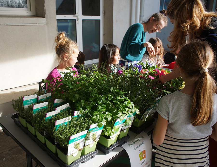 Le printemps s’est invité au Café des parents de jeudi dernier avec un marché aux graines et aux plantes, organisé par l’APEL (Association de Parents d’Elèves) au sein de l’école Fénelon Notre-Dame de La Rochelle.
