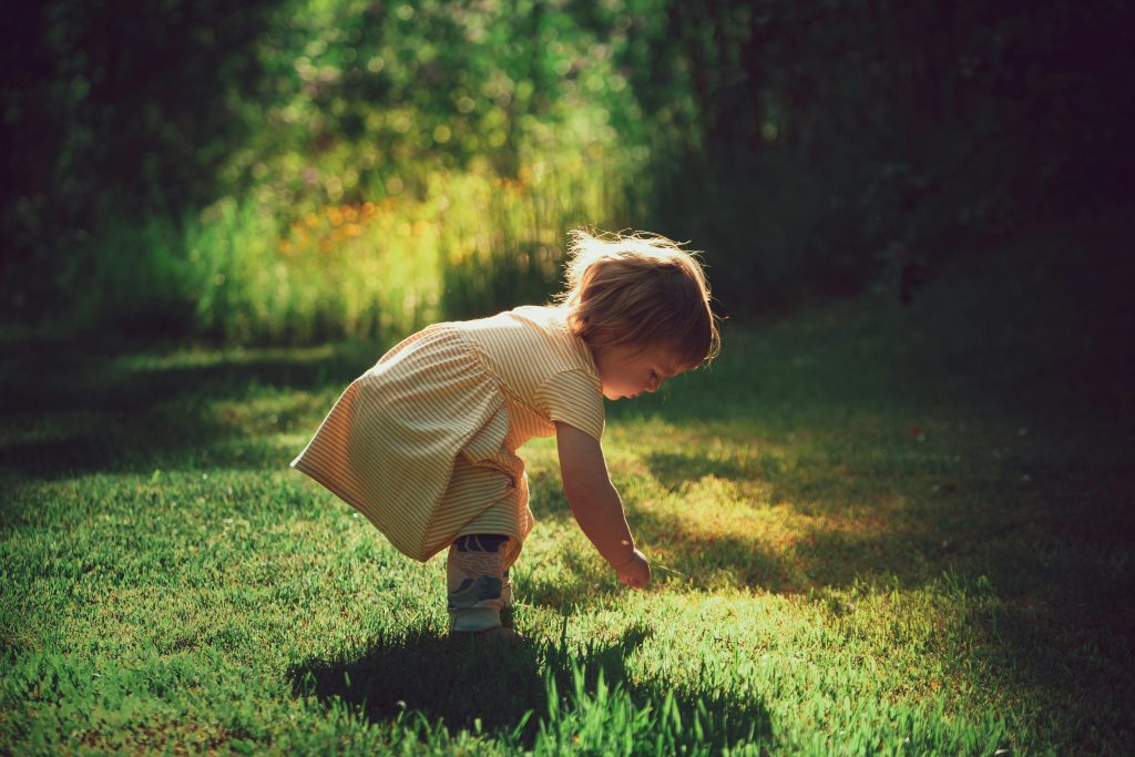 Lundi 11 mai 2026, les deux classes de Maternelle de l’école Fénelon Notre-Dame de Lagord partiront à la découverte de la Réserve naturelle nationale de Lilleau des Niges.